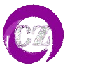 Company 1